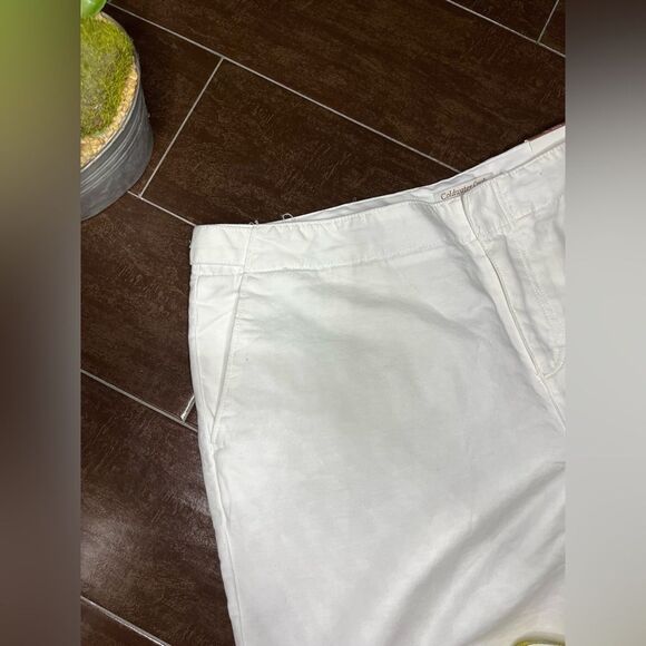 Coldwater Creek white Natural Fit bootcut pants Sz 16 - Picture 2 of 8